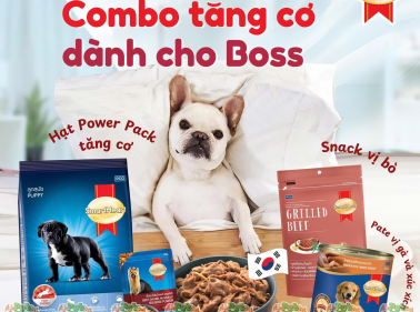 Về sản phẩm của Pet Yêu 