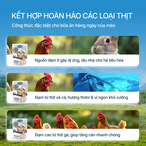 Pate sữa dê cho mèo từ 3 tháng tuổi FAENBEI - Túi 85G