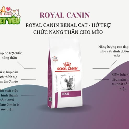 Thức ăn hạt  Royal Canin Renal hỗ trợ trị sỏi thận cho mèo