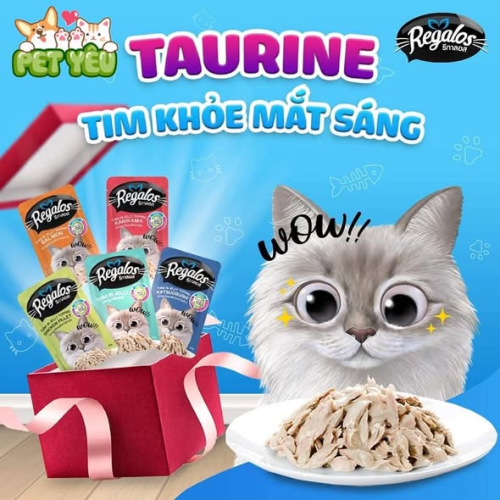 Pate Regalos cho mèo -70G