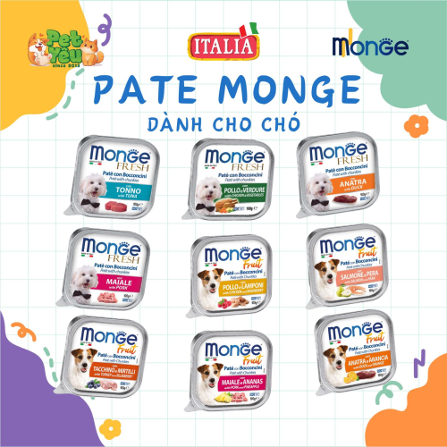 Pate Monge dành cho chó- Hộp 100G