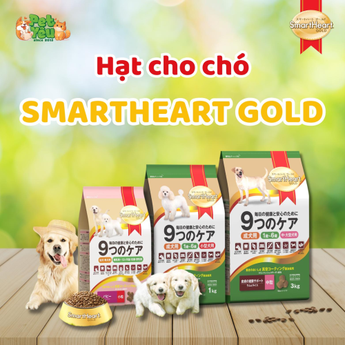 Thức ăn hạt SmartHeart Gold dành cho chó