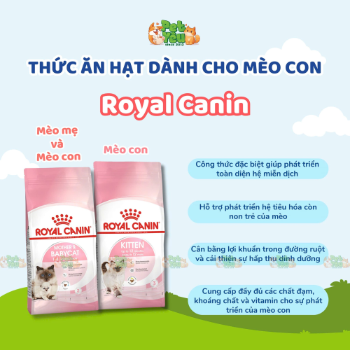 Thức ăn hạt Royal Canin dành riêng cho mèo mẹ & mèo con