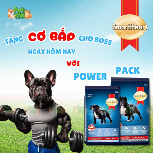 THỨC ĂN HẠT KHÔ CHO CHÓ GIÚP TĂNG CƠ BẮP - SMARTHEART POWER