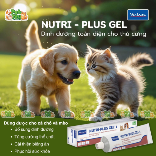 Gel dinh dưỡng NUTRI-PLUS GEL cho chó, mèo