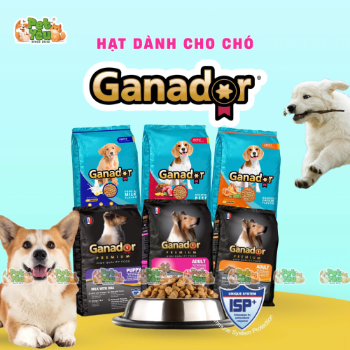 Hạt Ganador Premium dành cho chó