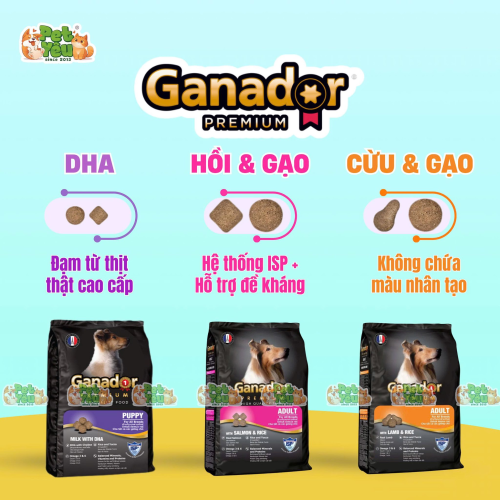 Hạt Ganador Premium dành cho chó