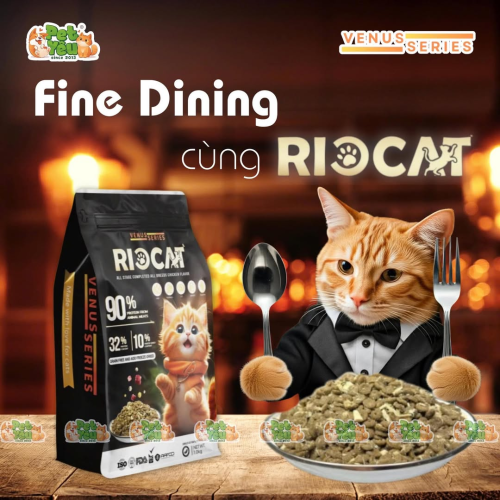 Thức Ăn Hạt cho mèo RIOCAT
