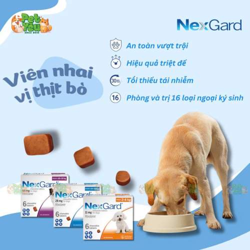 Viên nhai Nexgard phòng và trị ve, bọ chét cho chó