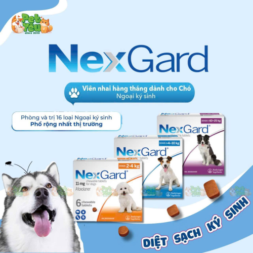Viên nhai Nexgard phòng và trị ve, bọ chét cho chó