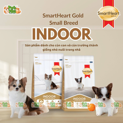 Hạt cho chó SMARTHEART GOLD INDOOR