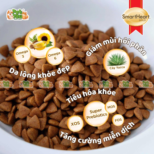 Hạt cho chó SMARTHEART GOLD INDOOR
