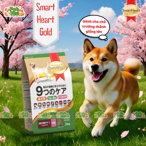 Hạt Cho Chó Trưởng Thành SmartHeart Gold Cao Cấp Vị Cừu & Gạo
