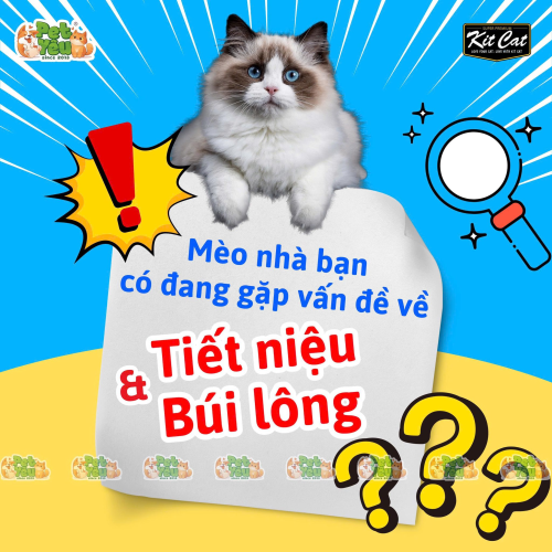 Gel dinh dưỡng KITCAT dành cho mèo tuýp 120g