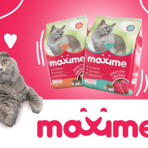 Thức ăn hạt cho mèo mọi lứa tuổi Maxime