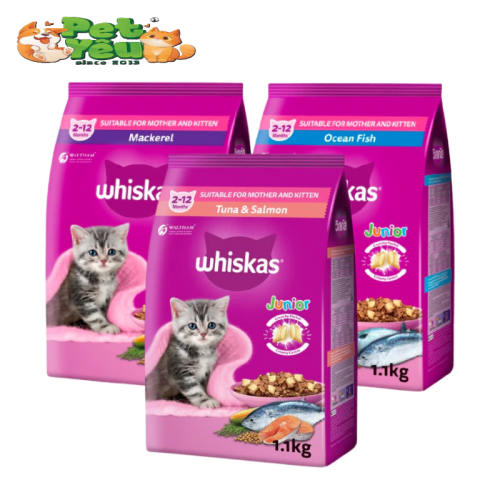 THỨC ĂN HẠT WHISKAS CHO MÈO CON (2-12 THÁNG)