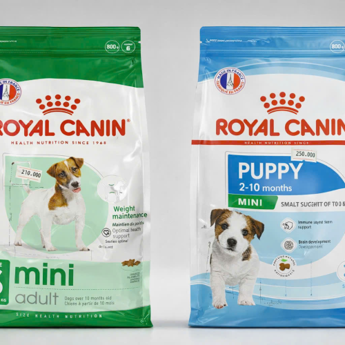 Thức ăn hạt cho giống chó nhỏ Royal Canin
