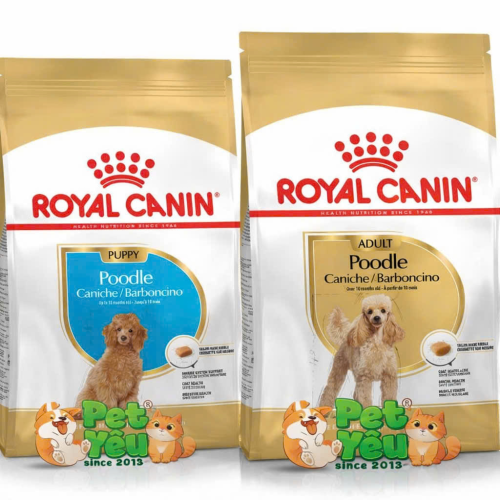 Thức ăn hạt Royal Canin dành cho chó Poodle 