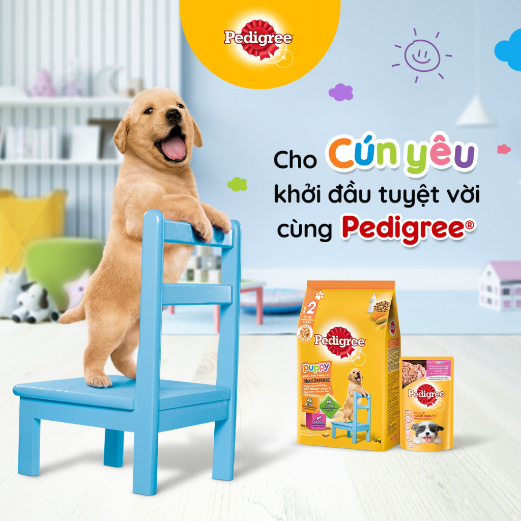 Thức ăn hạt Pedigree dành cho chó con - Túi 1,3Kg