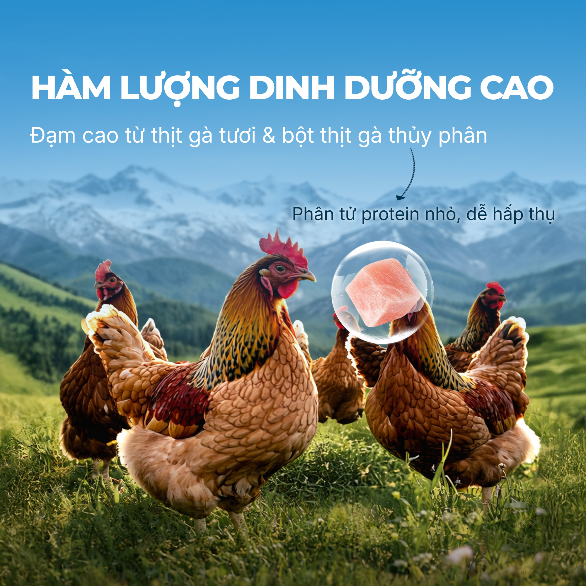 Pate sữa lắc FAENBEI vị thịt gà dành cho mèo từ 3 tháng tuổi - Túi 85G
