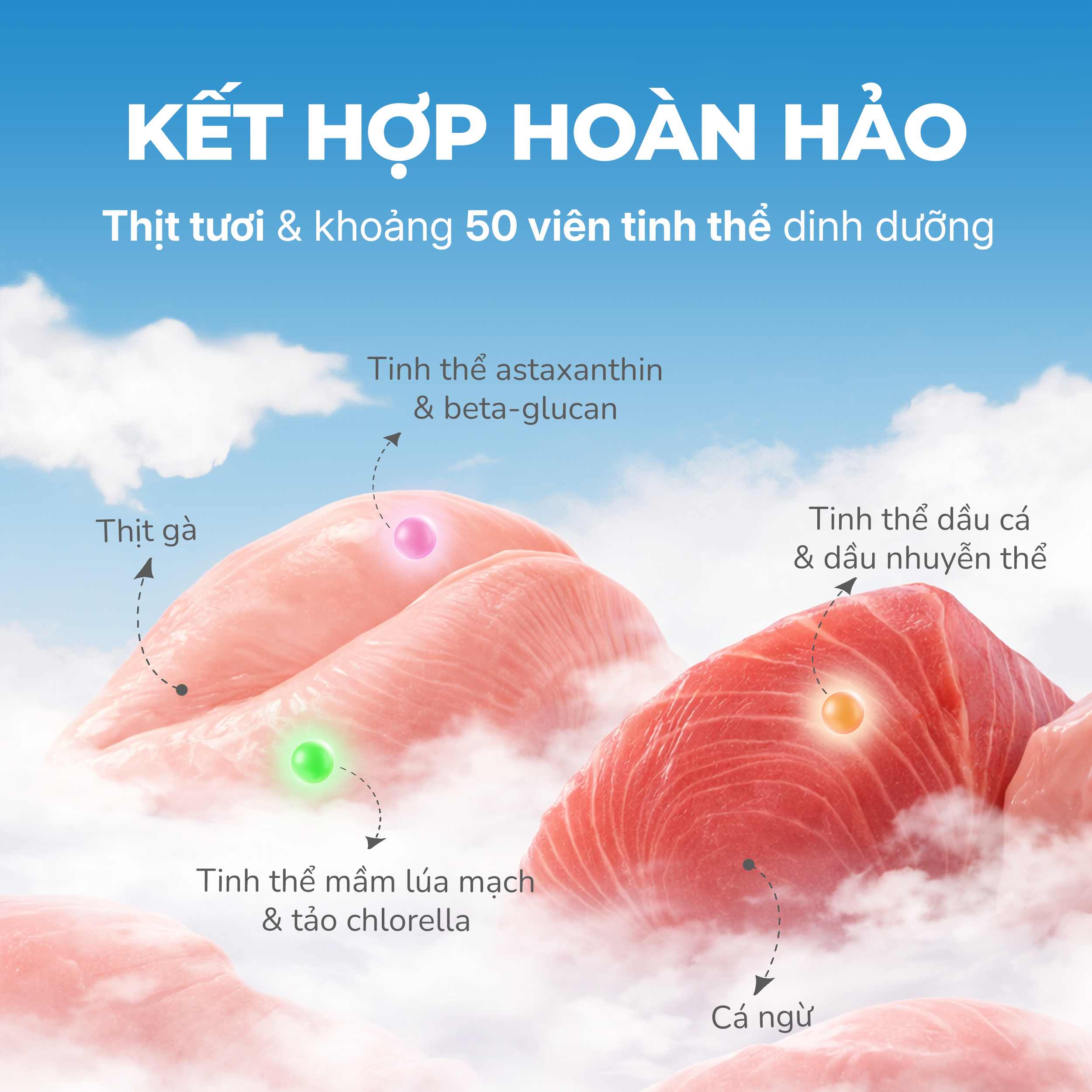 Pate Viên tinh thể chức năng FAENBEI cho mèo từ 3 tháng tuổi -  Túi 70G