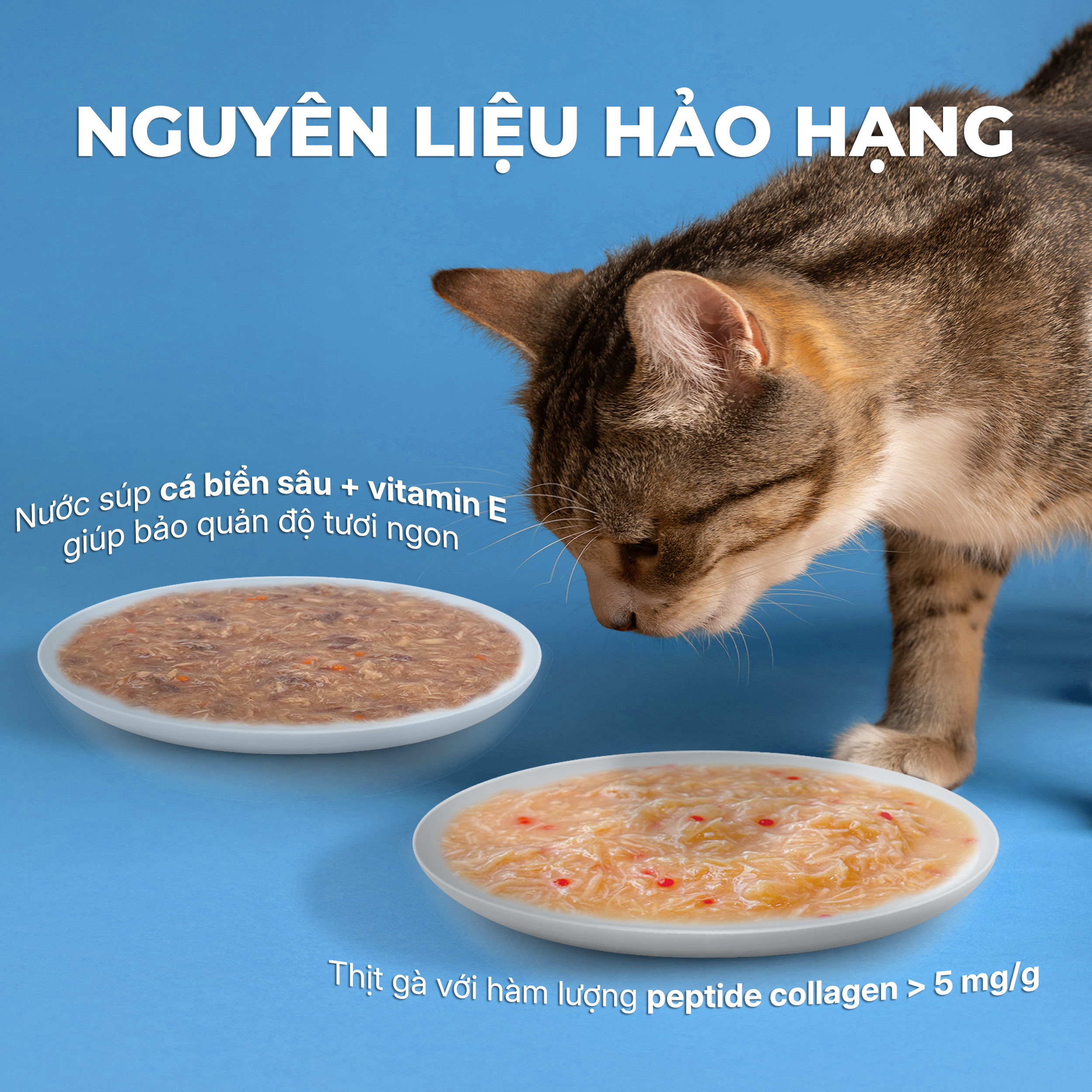 Pate Viên tinh thể chức năng FAENBEI cho mèo từ 3 tháng tuổi -  Túi 70G