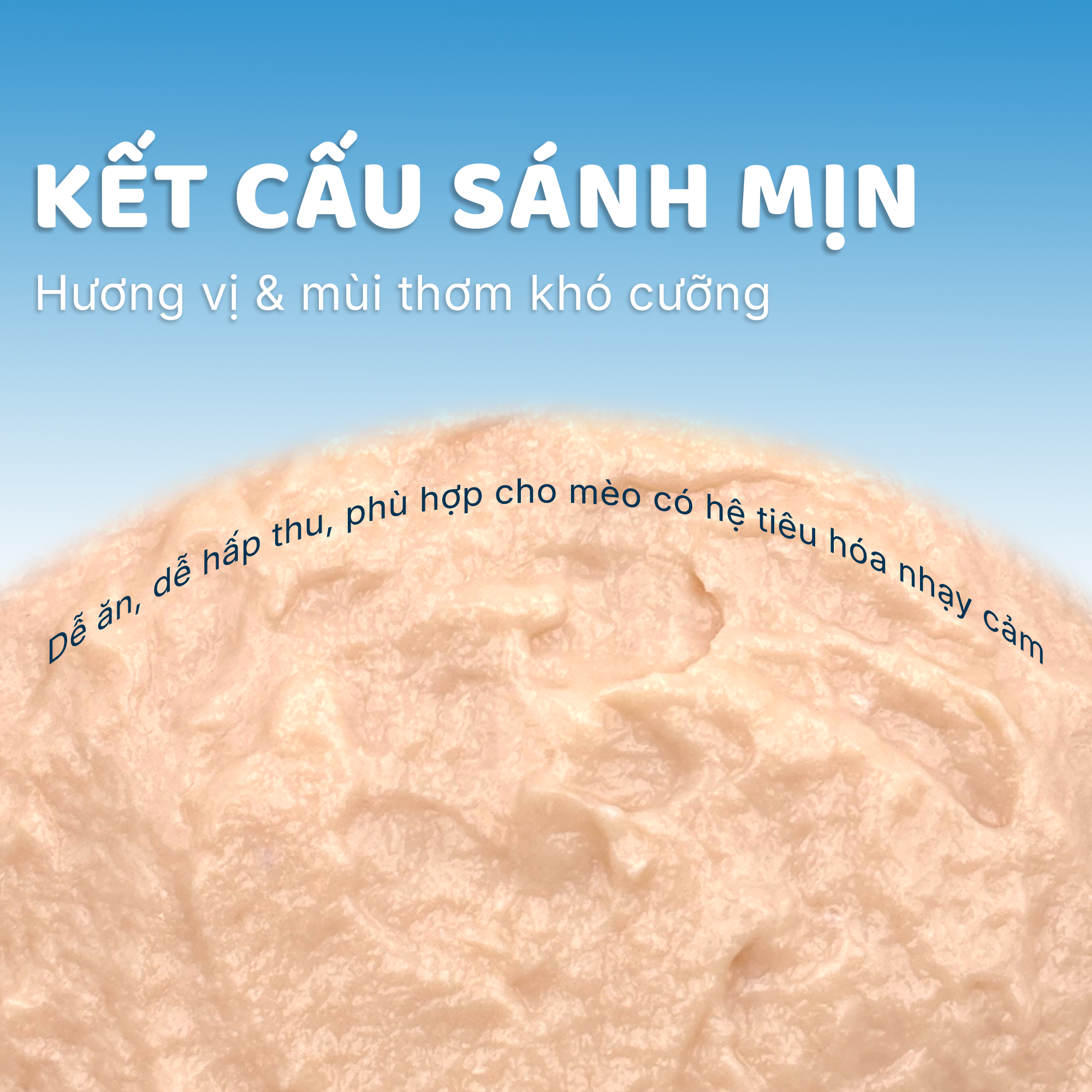 Pate sữa lắc FAENBEI vị thịt gà dành cho mèo từ 3 tháng tuổi - Túi 85G