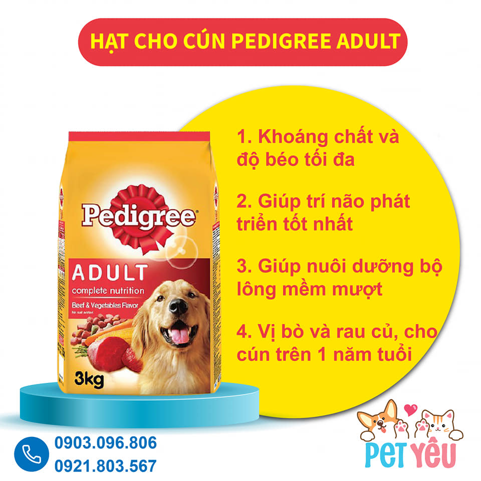 Thức ăn hạt Pedigree dành cho chó lớn - Túi 500Gr và 3Kg