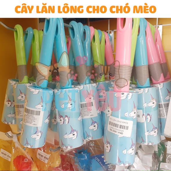Cây lăn lông rụng của chó mèo