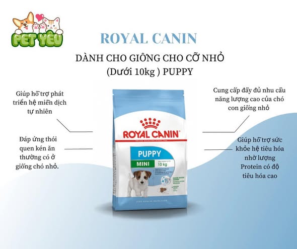 Thức ăn hạt cho giống chó nhỏ Royal Canin