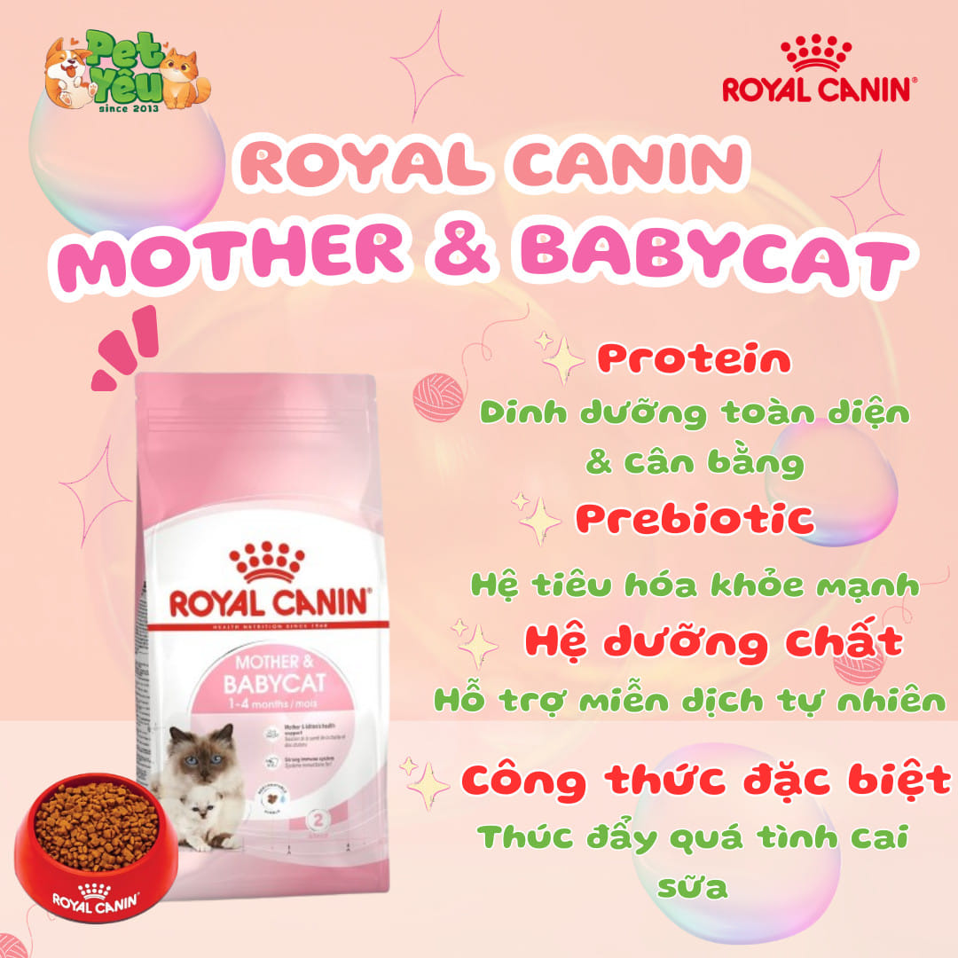 Thức ăn hạt Royal Canin dành riêng cho mèo mẹ & mèo con