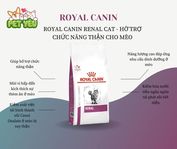 Thức ăn hạt  Royal Canin Renal hỗ trợ trị sỏi thận cho mèo