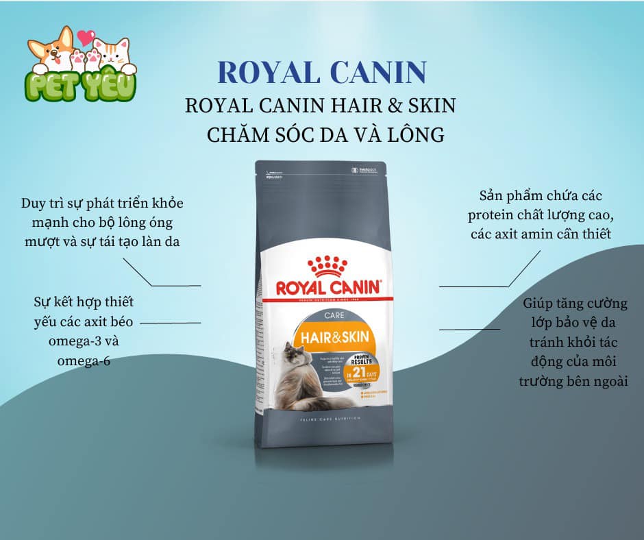 Hạt cho mèo Royal Canin Hair & Skin- Chăm sóc da & lông