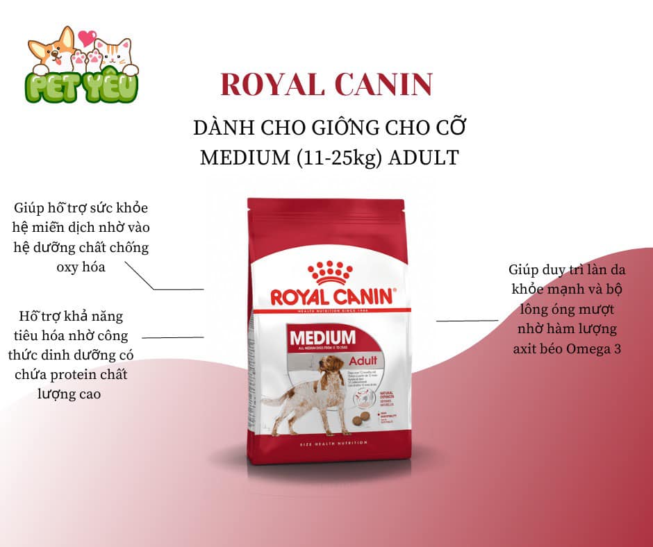 THỨC ĂN CHO CHÓ TRỌNG LƯỢNG TRUNG BÌNH ROYAL CANIN MEDIUM