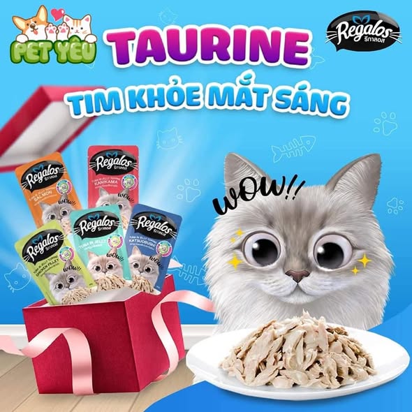Pate Regalos cho mèo -70G
