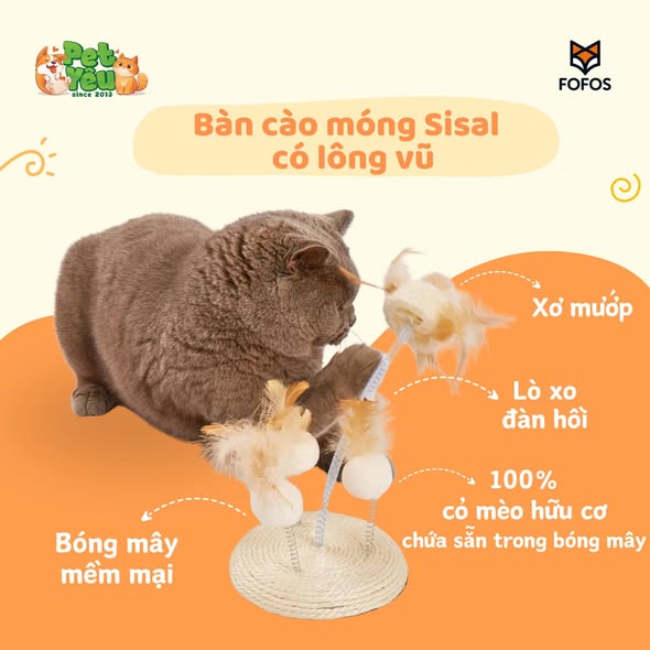 Bàn cào móng Sisal kết hợp lông vũ Fofos dành cho mèo
