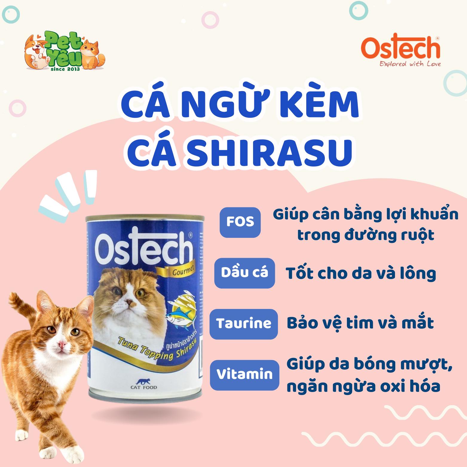 Pate Ostech Gourment dành cho mèo- Lon 400G