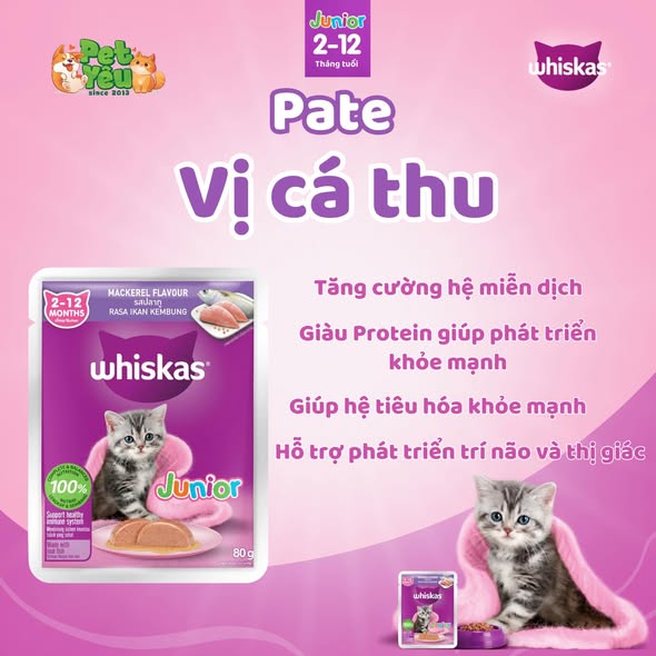 PATE WHISKAS CHO MÈO-TÚI 80G