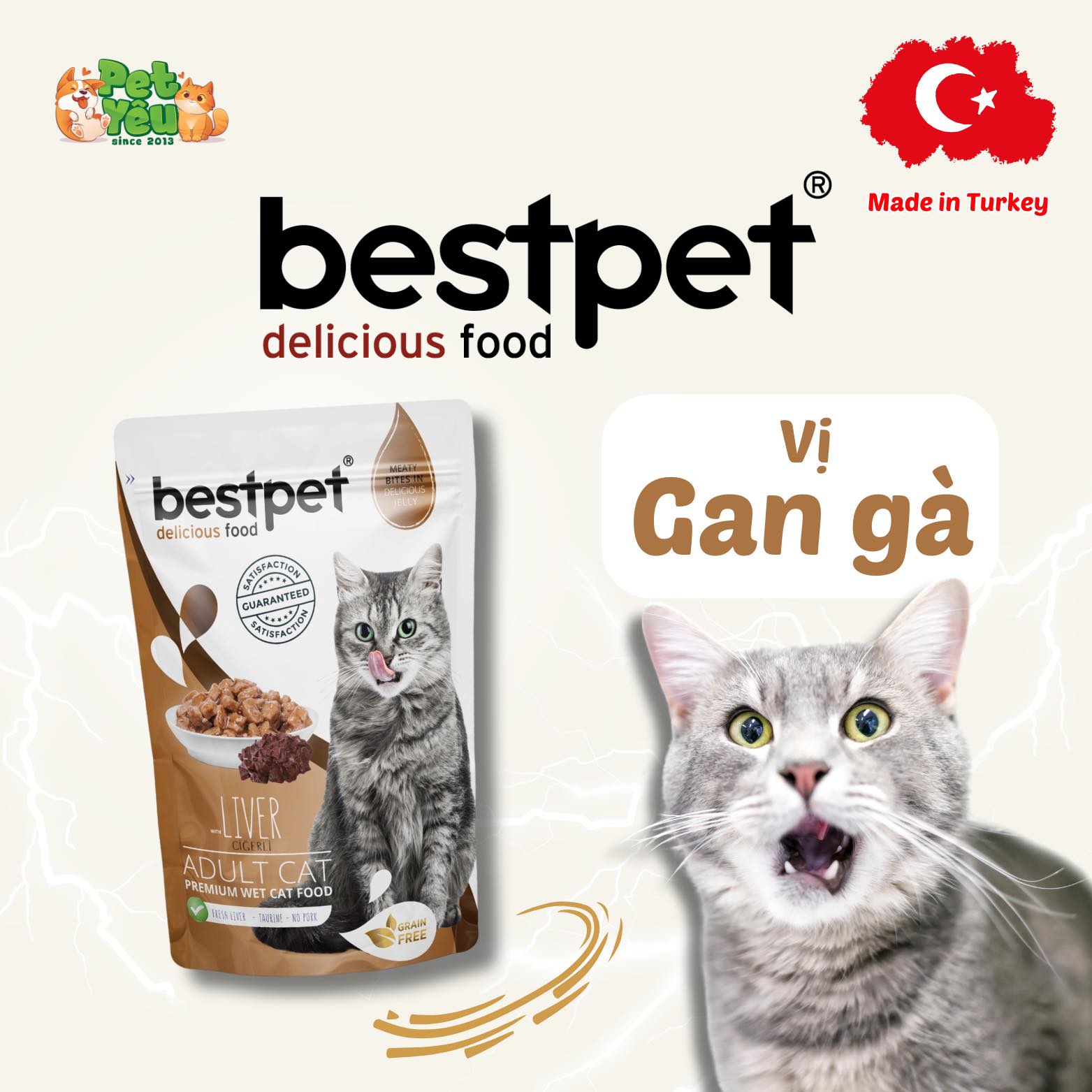 Pate Bestpet- Đặc Sản Thổ Nhĩ Kỳ Cho Mèo (Gói 85G)