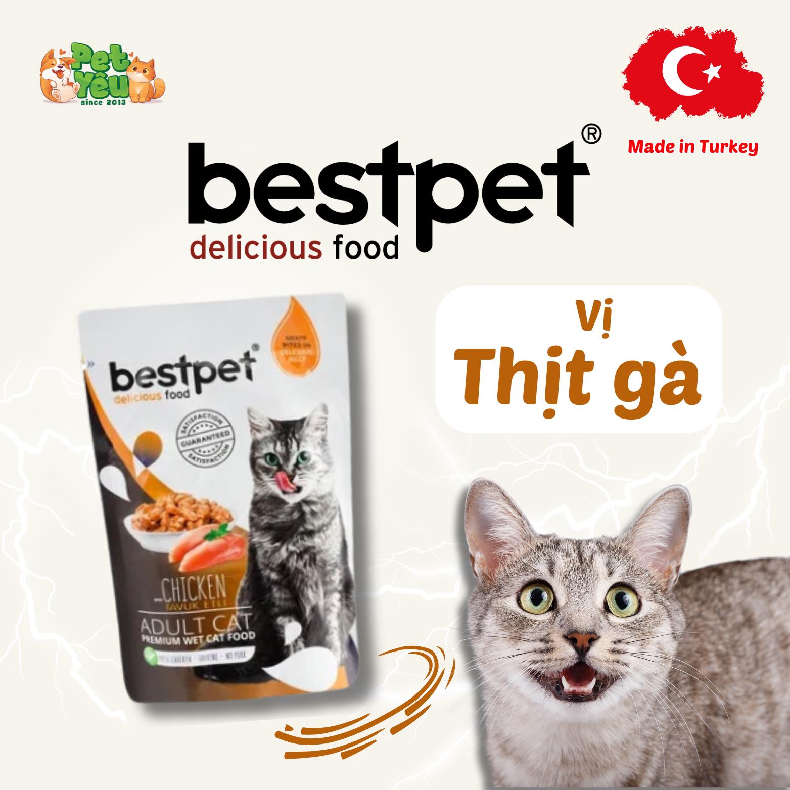 Pate Bestpet- Đặc Sản Thổ Nhĩ Kỳ Cho Mèo (Gói 85G)