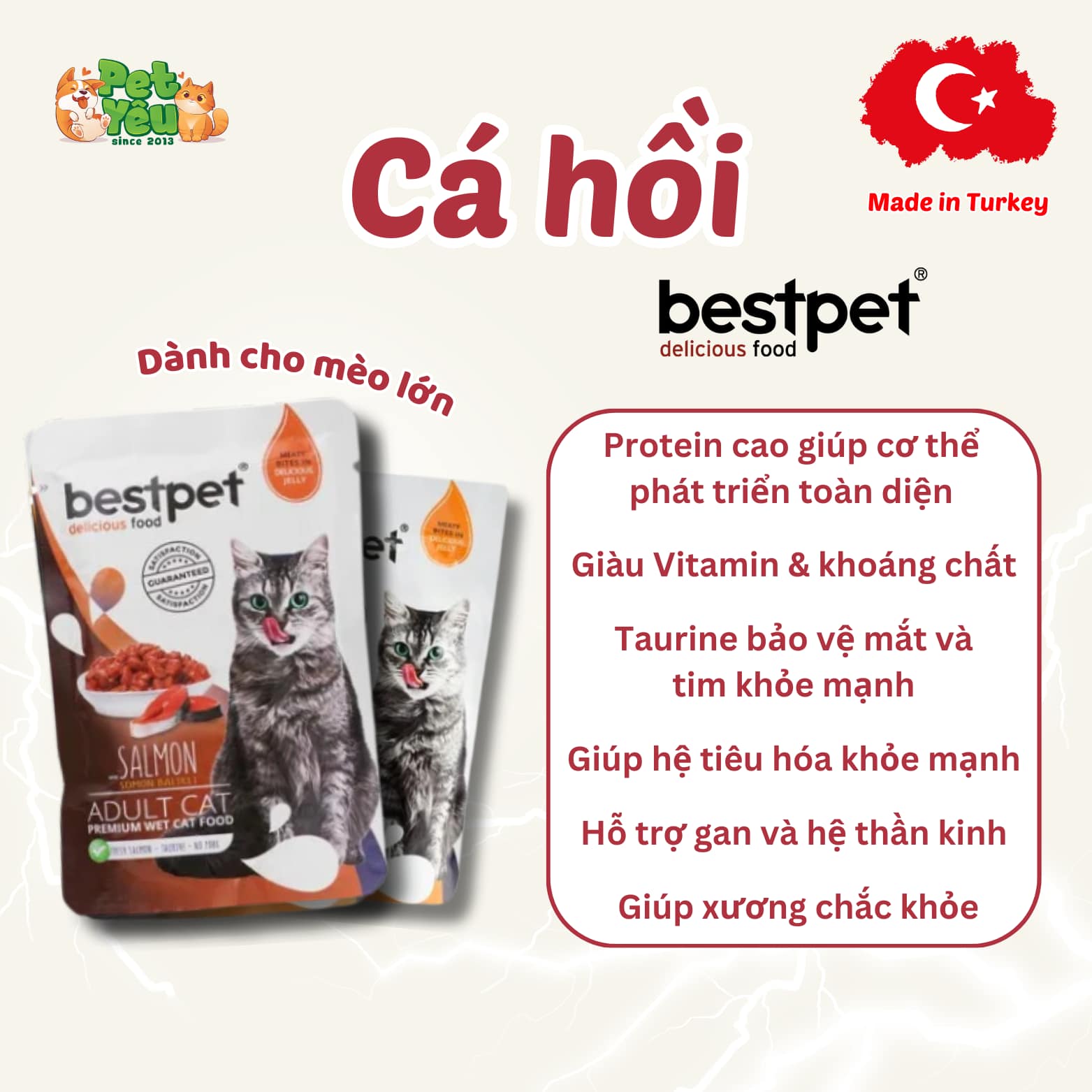 Pate Bestpet- Đặc Sản Thổ Nhĩ Kỳ Cho Mèo (Gói 85G)