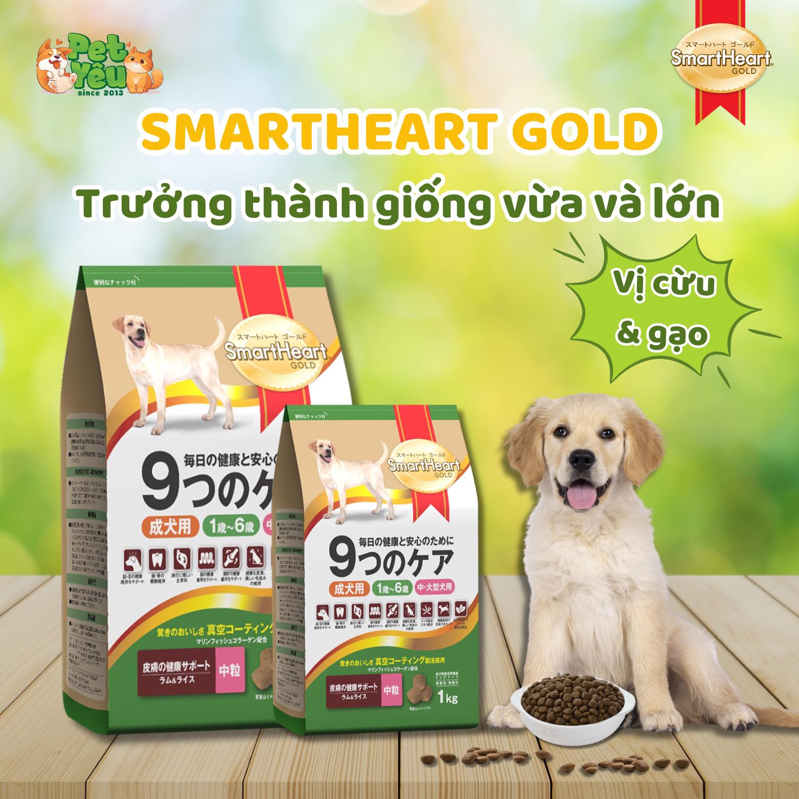 Thức ăn hạt SmartHeart Gold dành cho chó