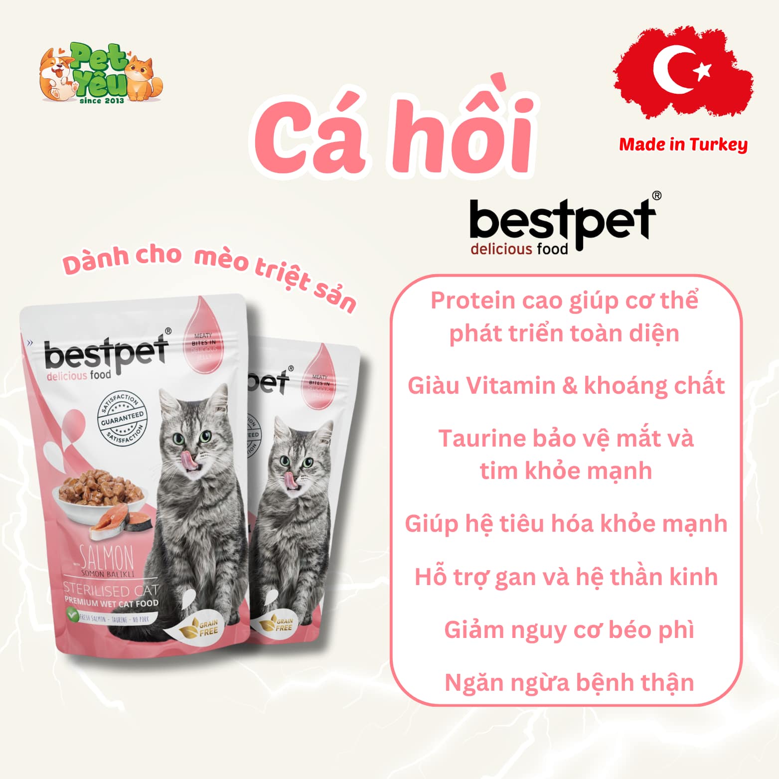 Pate Bestpet- Đặc Sản Thổ Nhĩ Kỳ Cho Mèo (Gói 85G)