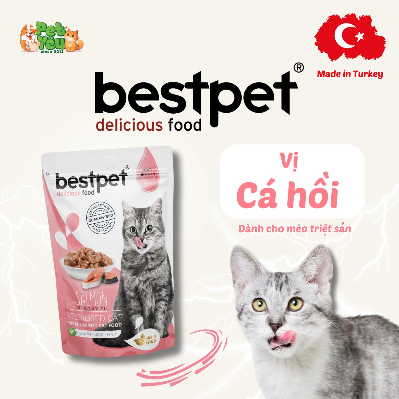 Pate Bestpet- Đặc Sản Thổ Nhĩ Kỳ Cho Mèo (Gói 85G)