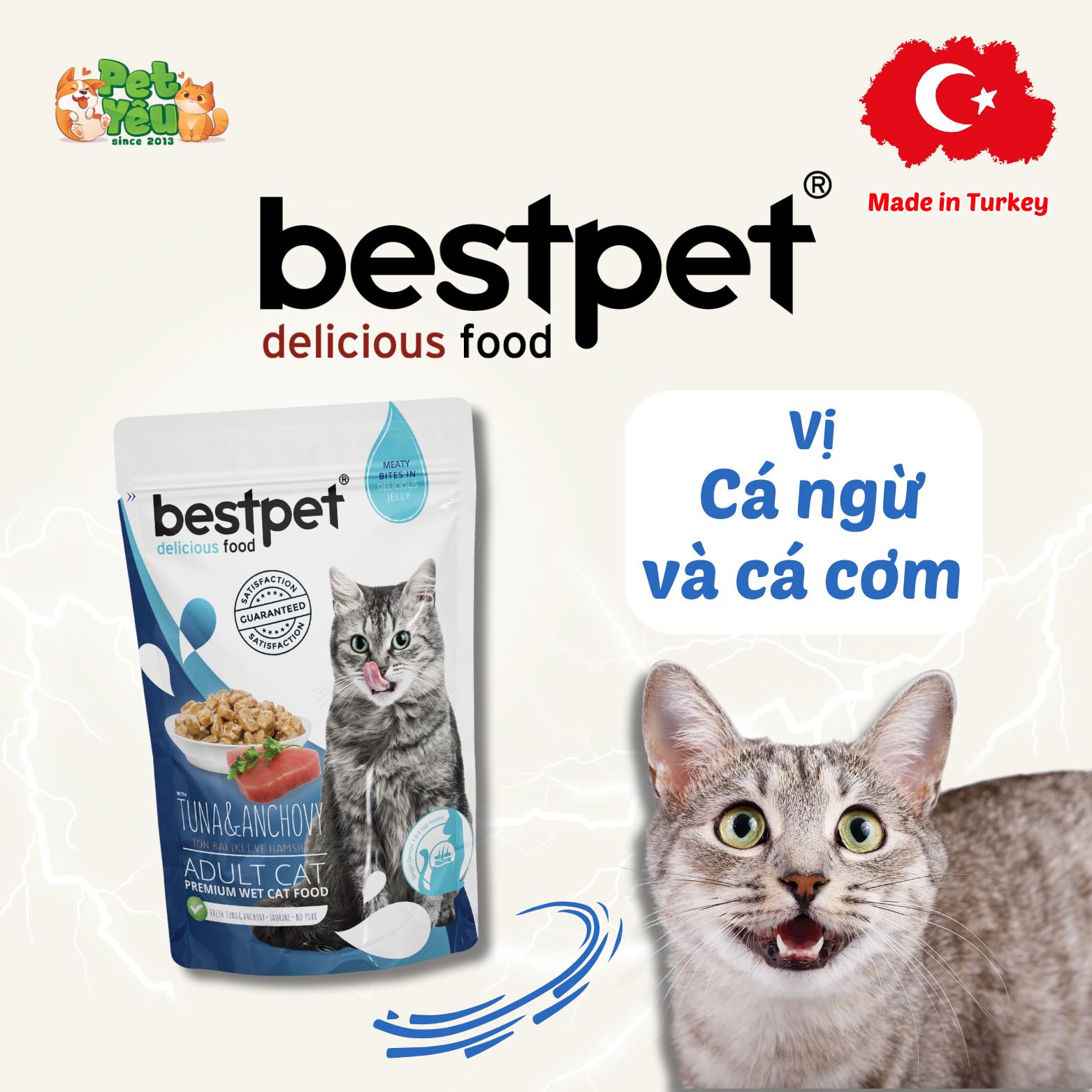 Pate Bestpet- Đặc Sản Thổ Nhĩ Kỳ Cho Mèo (Gói 85G)