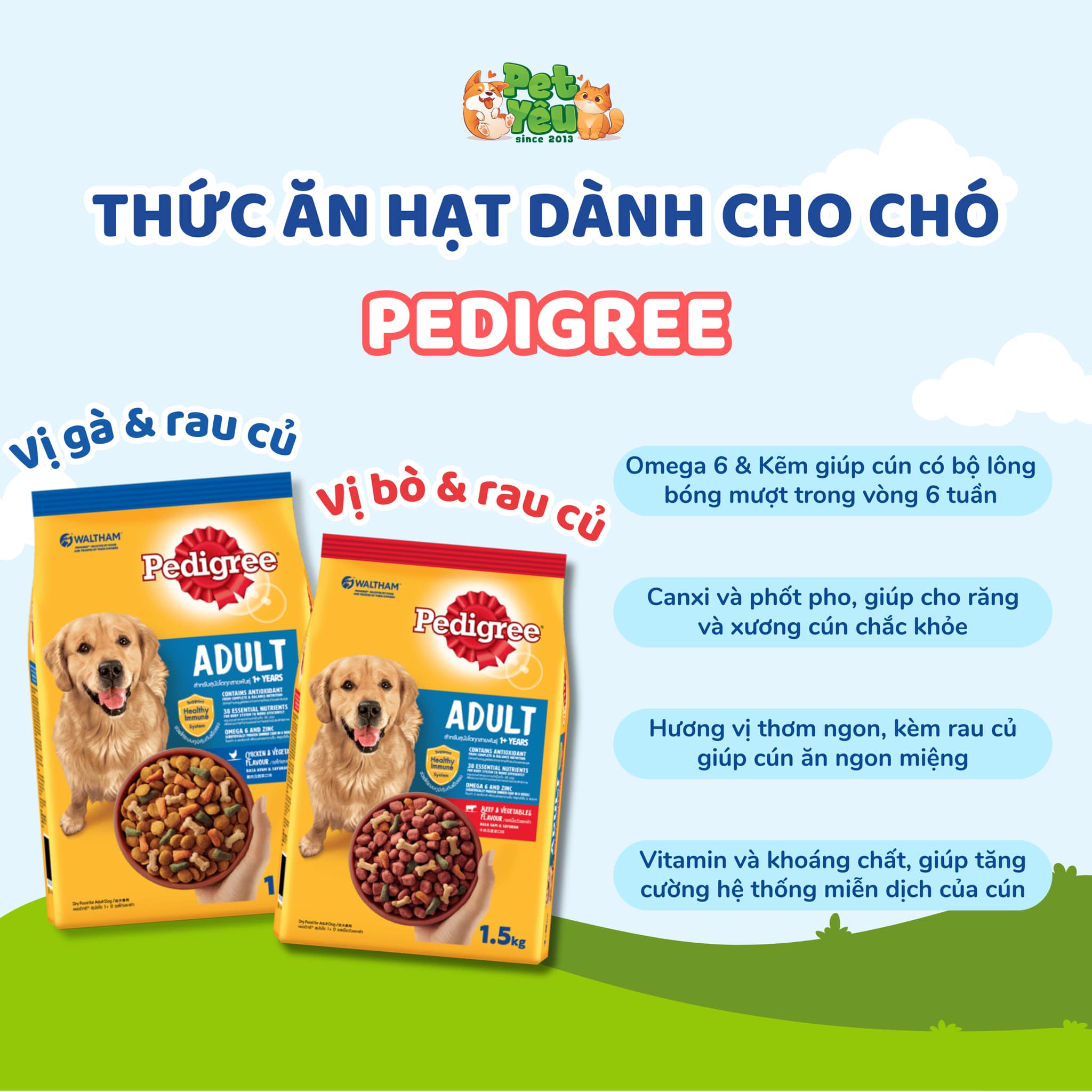 Thức ăn hạt Pedigree dành cho chó lớn - Túi 500Gr và 3Kg