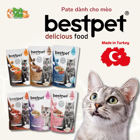 Pate Bestpet- Đặc Sản Thổ Nhĩ Kỳ Cho Mèo (Gói 85G)