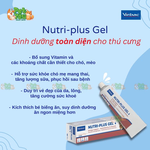 Gel dinh dưỡng NUTRI-PLUS GEL cho chó, mèo
