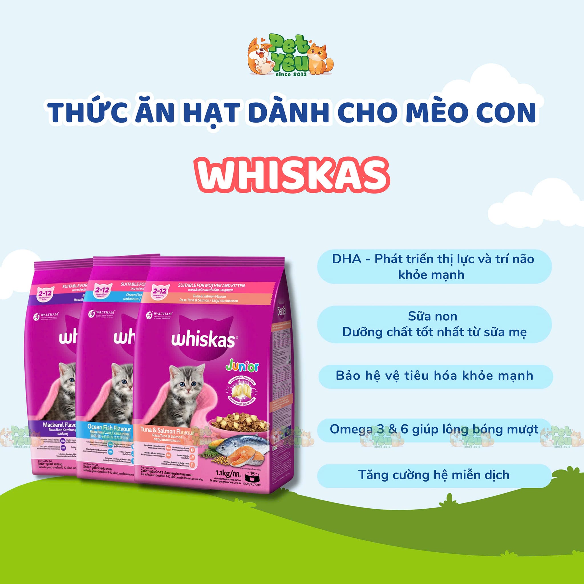 THỨC ĂN HẠT WHISKAS CHO MÈO CON (2-12 THÁNG) - TÚI 1,1KG & 2,7KG