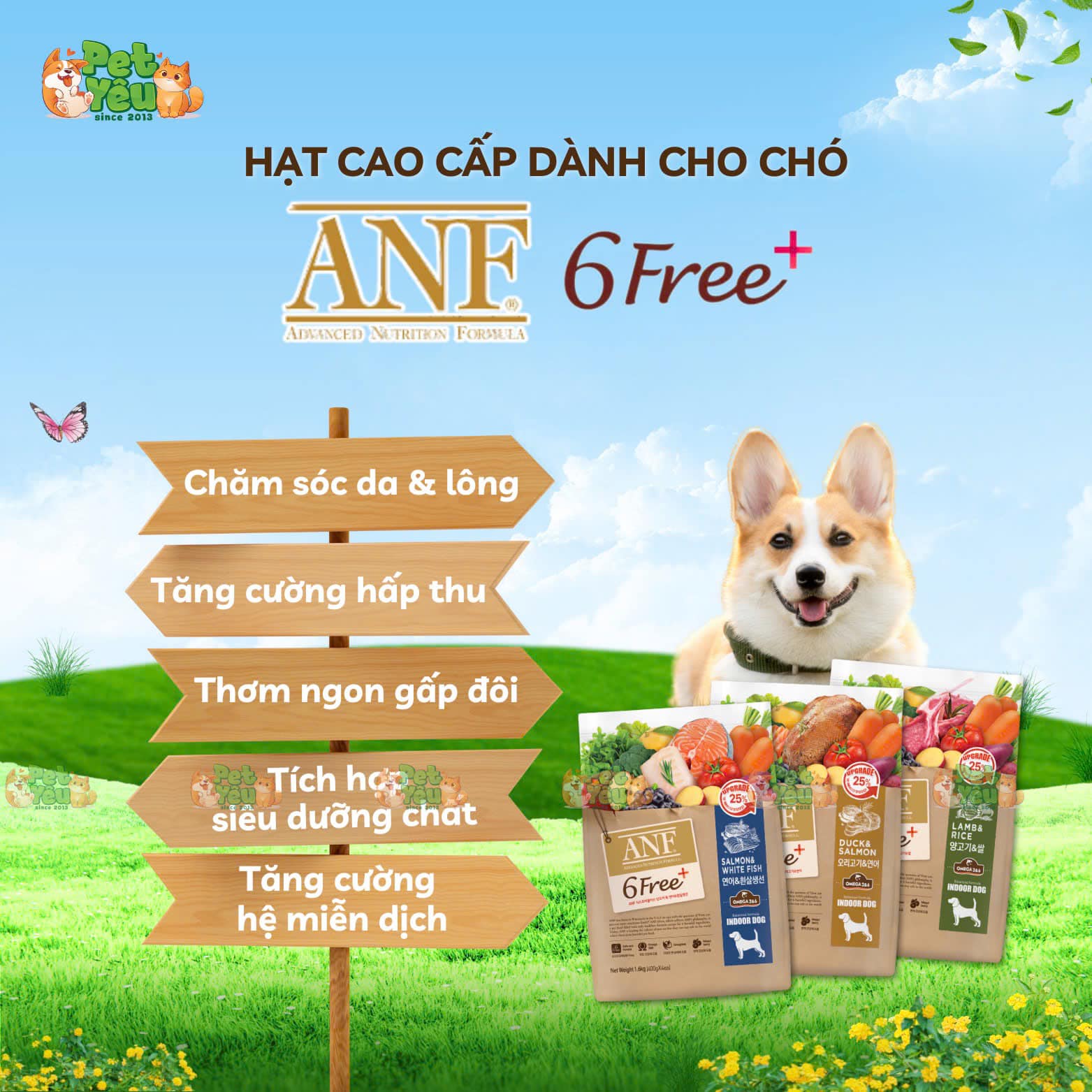 Hạt cao cấp dành cho chó ANF 6FREE+